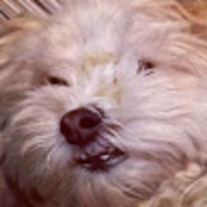 Meet your Posher, Carrie